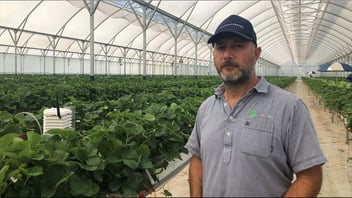 Season Farms' Crop Manager and Agronomist Guillermo DiGiuseppe