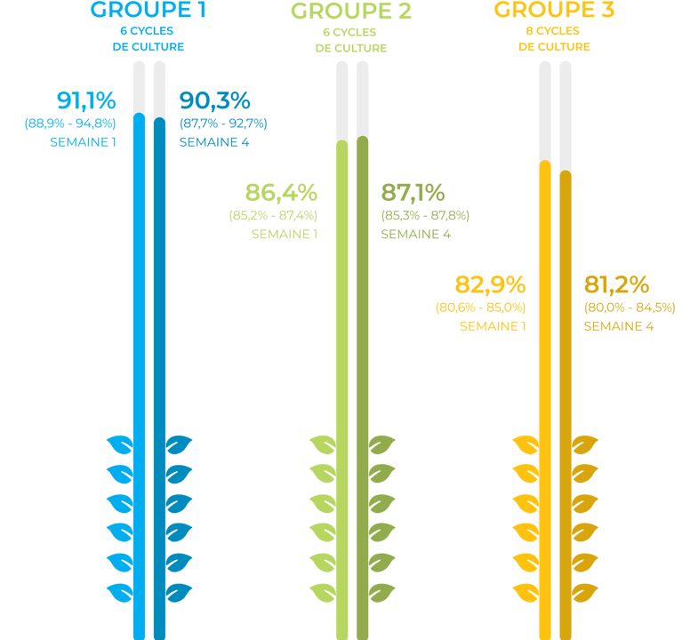 yield-swing-groups-FR