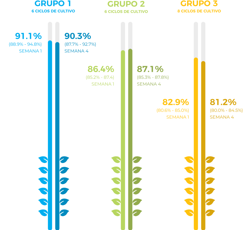 yield-swing-groups