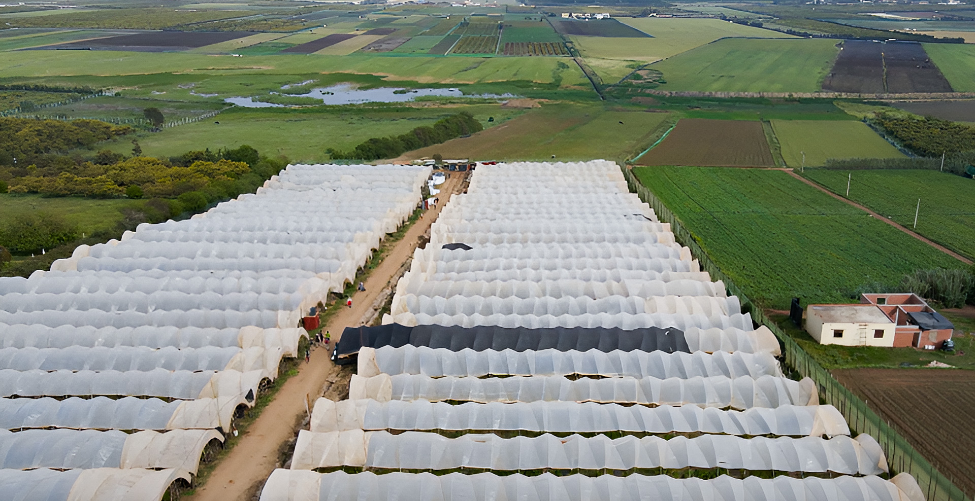 BearBerries Farm-3 BearBerries Farm-3