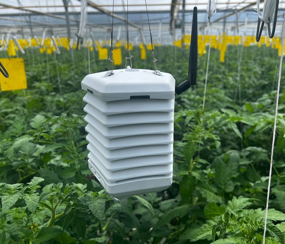 FarmRoad Climate Sensor at AgroMi Tomato Farm-1