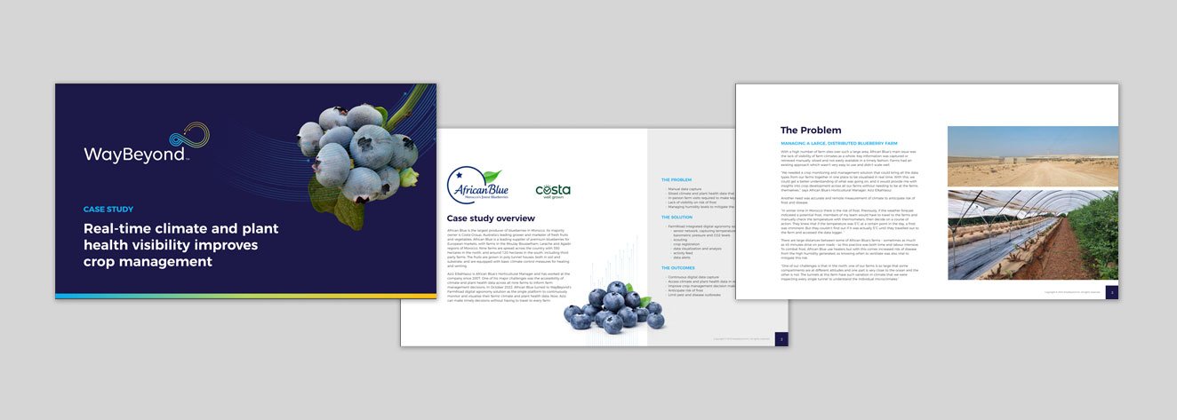African Blue Case Study pages
