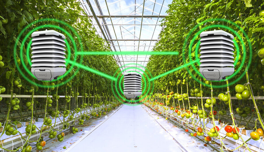 Wireless greenhouse sensors