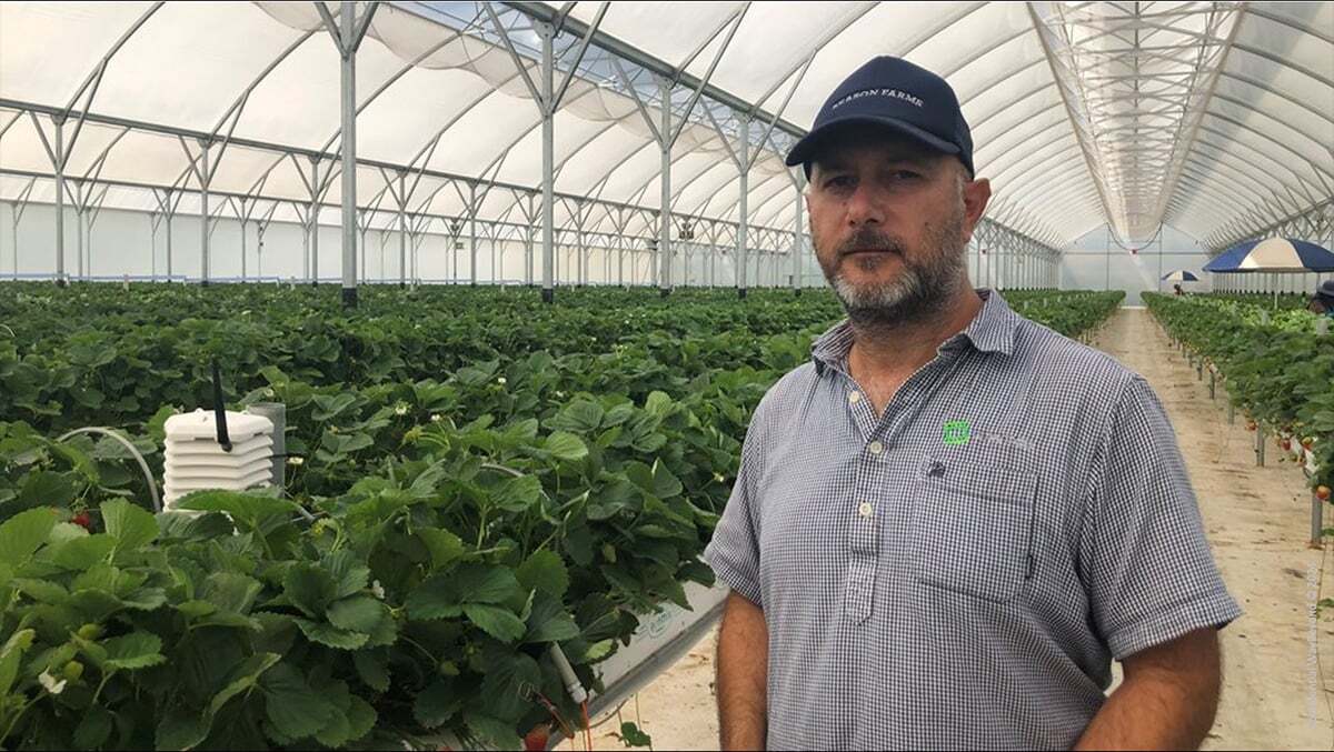 Season Farms' Crop Manager and Agronomist Guillermo DiGiuseppe